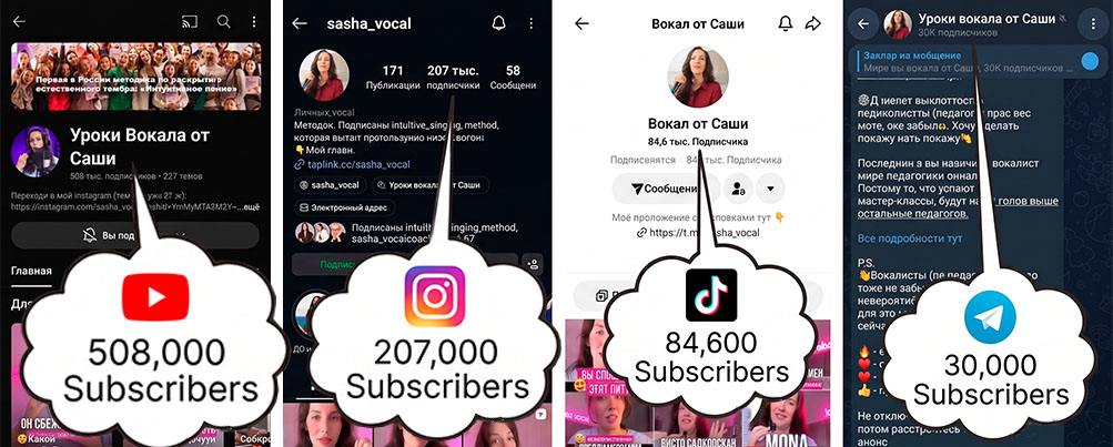 Vocal Blogger Statistics and Subscriptions